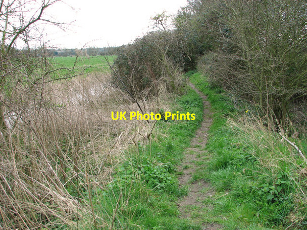 Photo 6"x4" Footpath along the River Waveney Bungay c2014