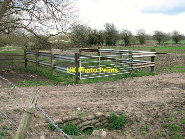 Photo 6"x4" Cattle pen in pasture beside the River Waveney Bungay c2014