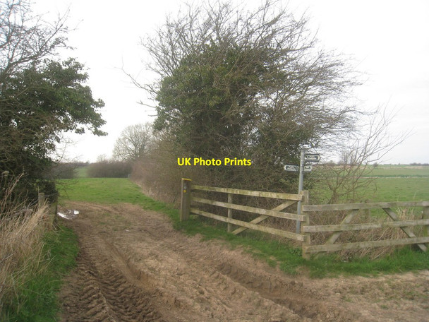 Photo 6"x4" Craker Lane Castle Carlton c2014