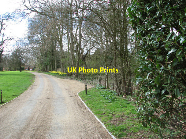 Photo 6"x4" Driveway to Earsham Hall Earsham c2014