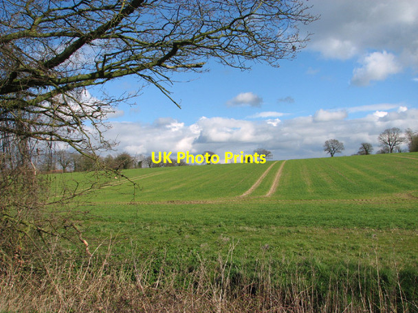 Photo 6"x4" Fields by Reeden's Spinney Denton\/TM2788 c2014