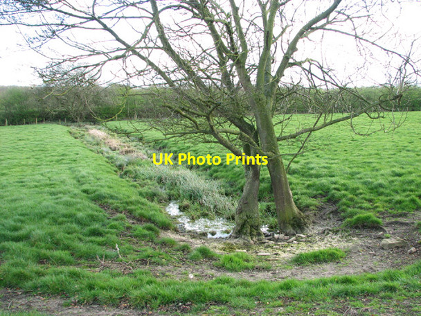 Photo 6"x4" Ditch in pasture beside Low Road Alburgh c2014