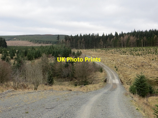Photo 6"x4" Logging road, Wauchope Forest Raven Burn c2014