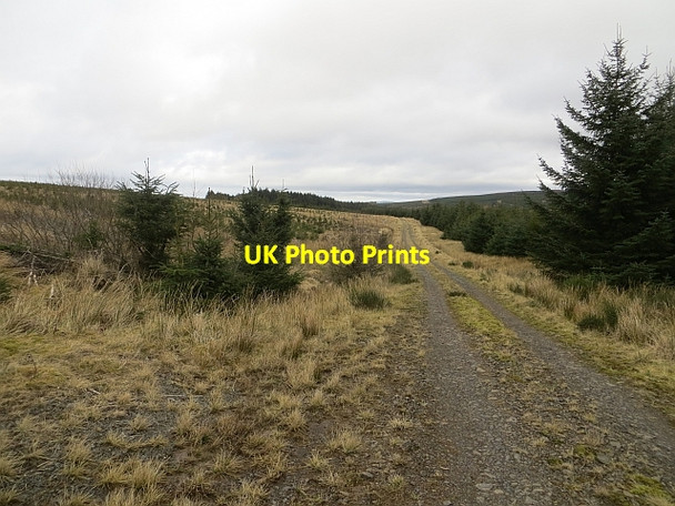 Photo 6"x4" Logging road, Wauchope Forest Raven Burn c2014
