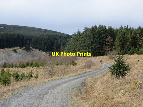 Photo 6"x4" Logging road, Wauchope Forest Wauchope Forest c2014