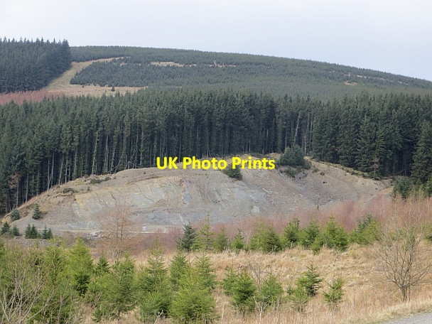 Photo 6"x4" Quarry, Hardlee Wauchope Forest c2014