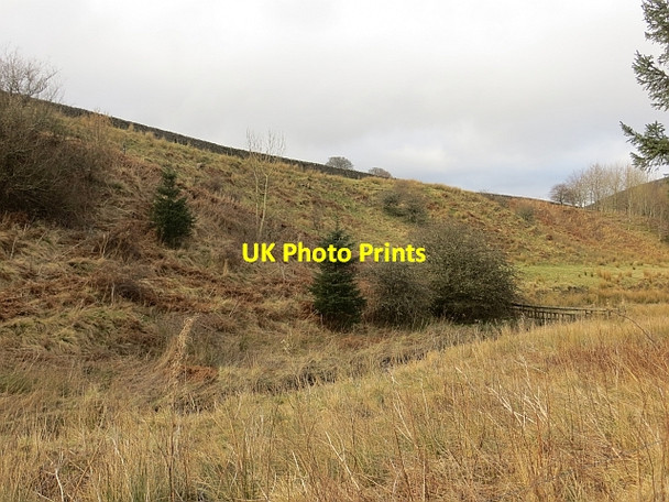 Photo 6"x4" Hyndlee Burn Brockie Law c2014 P2
