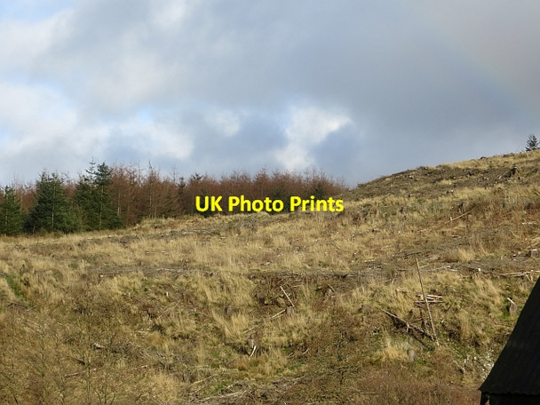 Photo 6"x4" Clear felled slope, Hyndlee Cleuch Head c2014