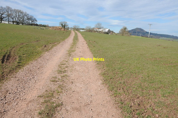 Photo 6"x4" Track to Hillbarn Croes-Hywel c2014