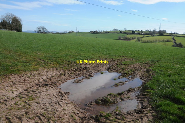 Photo 6"x4" Farmland near Croes-Hywel Croes-Hywel c2014