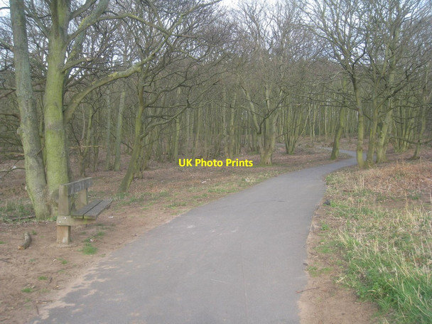 Photo 6"x4" The Ridgeway Cycle Path Flixborough Stather c2014