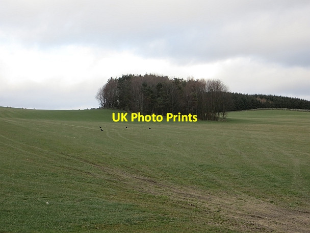Photo 6"x4" Field, Doorpool Chesters\/NT6210 c2014