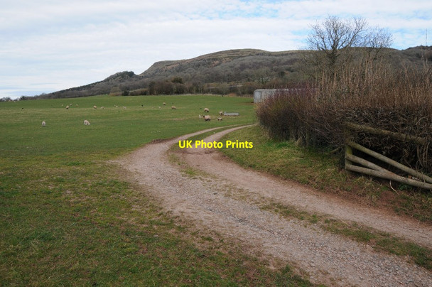 Photo 6"x4" Farmland near Dan-y-skirrid Llantilio Pertholey c2014