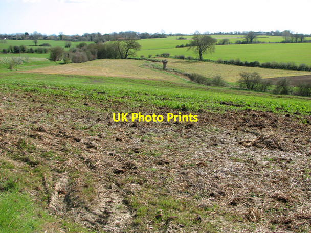 Photo 6"x4" Fields by St Cross South Elmham Homersfield c2014