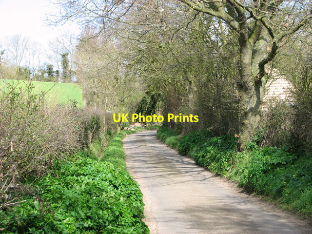 Photo 6"x4" View north along Hollow Lane Withersdale Street c2014