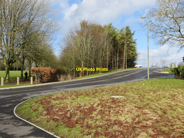 Photo 6"x4" Trees on the road Chilton\/SU4885 c2014