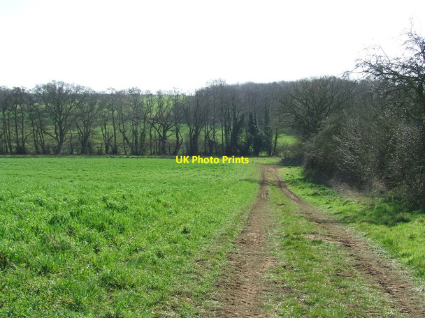 Photo 6"x4" Track And Path Newbourne c2014