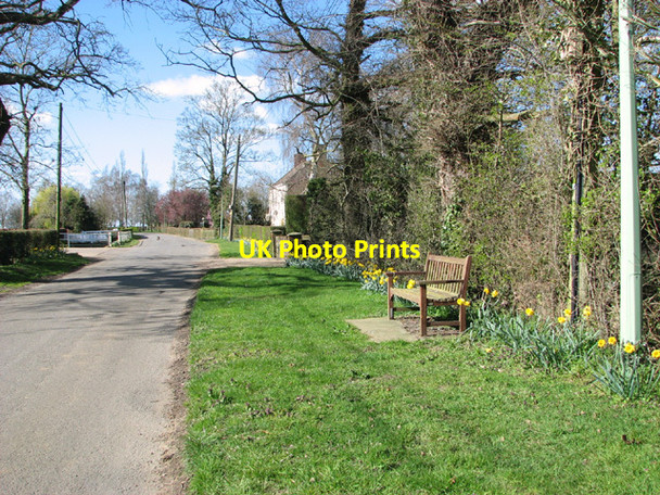 Photo 6"x4" Seat and daffodils in St James South Elmham St James South Elmham c2014