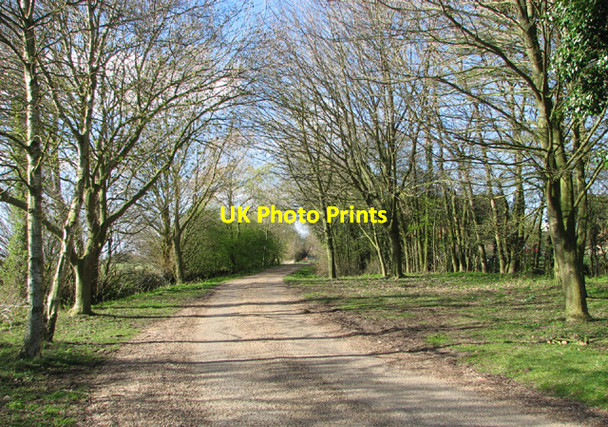 Photo 6"x4" Access road to fishing lakes by Hall Farm St Margaret South Elmham c2014