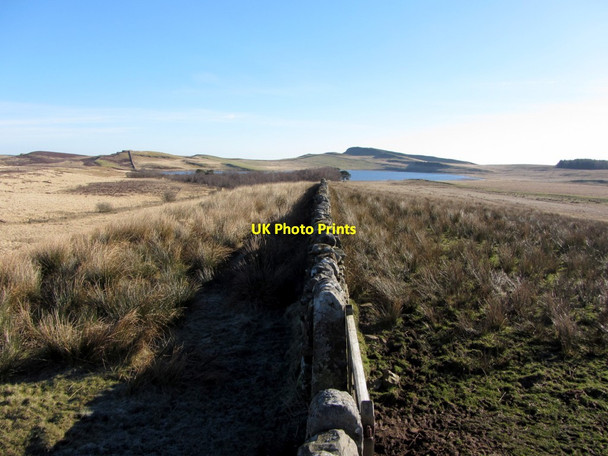 Photo 6"x4" Wall west of Broomlee Lough Thorngrafton c2014