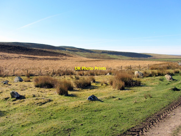 Photo 6"x4" Stone Circle west of Cragend Birkshaw\/NY7765 c2014 P2
