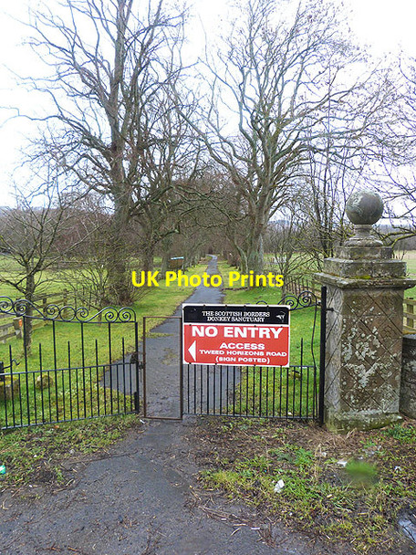 Photo 6"x4" Tree-lined avenue at the Holmes Dryburgh\/NT5931 c2014