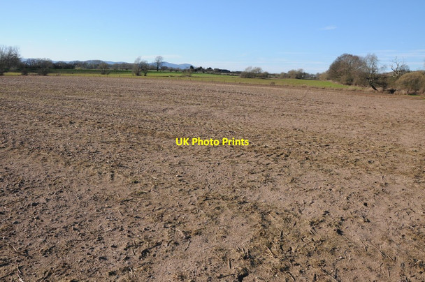 Photo 6"x4" Meadowland south of Bow Farm Shuthonger c2014