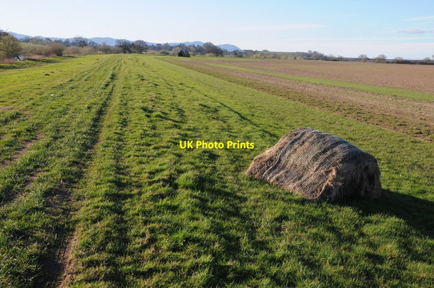 Photo 6"x4" Flood bank at Mythe Hook Tewkesbury c2014