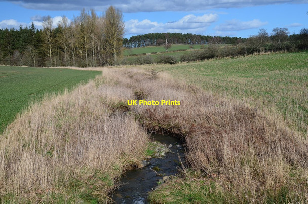Photo 6"x4" Ploughlands Burn Maxton\/NT6130 c2014