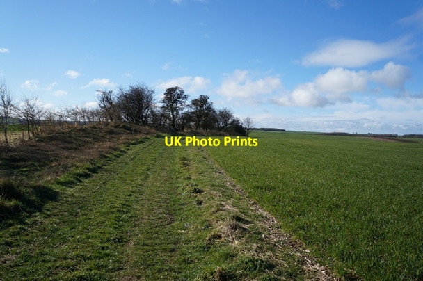 Photo 6"x4" Track leading to Vessey Pasture Dale Thixendale c2014