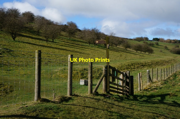 Photo 6"x4" Vessey Pasture Dale, Yorkshire Wolds Thixendale c2014