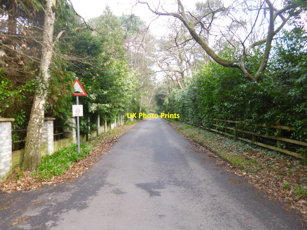 Photo 6"x4" Branksome Park, Dover Road Bournemouth c2014