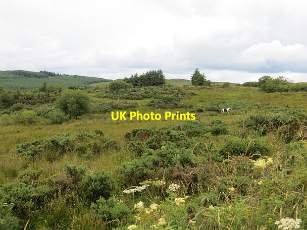 Photo 6"x4" Rough ground off Legavallon Road Drumsurn c2013
