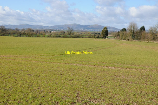 Photo 6"x4" View to the Malvern Hills Hatfield\/SO8750 c2014