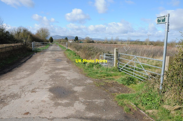Photo 6"x4" Footpath and drive to Middle Broomhall Farm Hatfield\/SO8750 c2014