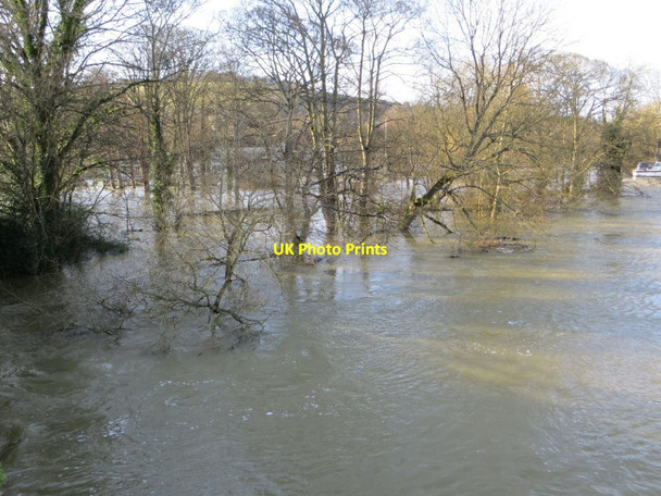Photo 6"x4" The Island Streatley\/SU5980 c2014