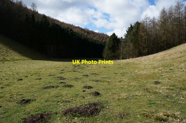 Photo 6"x4" Bradeham Dale towards Wayrham Dale Painsthorpe c2014