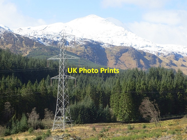 Photo 6"x4" Gleann Dubh Kinlochard c2014