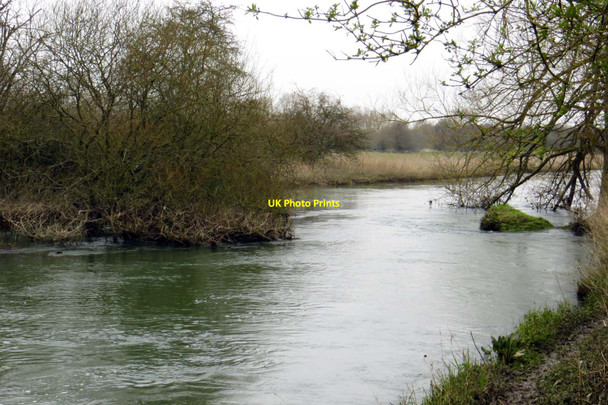 Photo 6"x4" Backwater of the River Thames Duxford\/SU3699 c2014