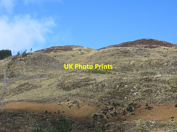 Photo 6"x4" Clear felled slope, Gleann Dubh Mulan an t- Sagairt c2014