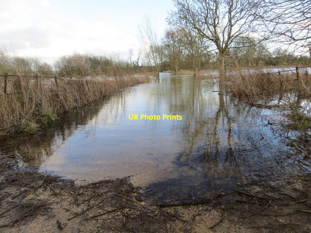 Photo 6"x4" Floods on Ferry Lane North Stoke\/SU6186 c2014