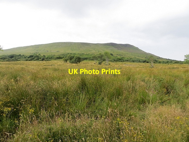 Photo 6"x4" Rough ground off Legavallon Road Drumsurn c2013