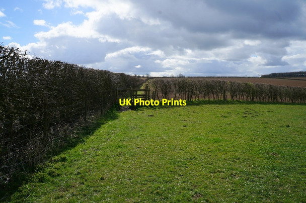 Photo 6"x4" Path leading to High Callis Wold Painsthorpe c2014