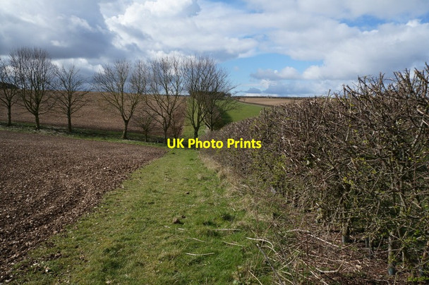 Photo 6"x4" Public footpath at Callis Wold Painsthorpe c2014