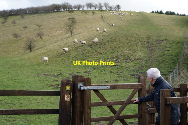 Photo 6"x4" Deep Dale, East Yorkshire Wolds Bishop Wilton c2014