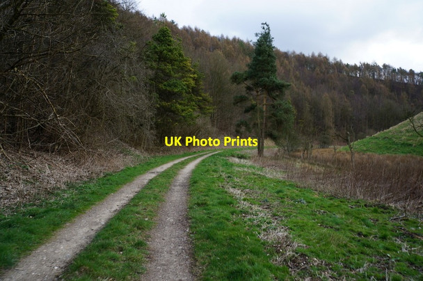 Photo 6"x4" Deep Dale towards Swingling Moor Bishop Wilton c2014
