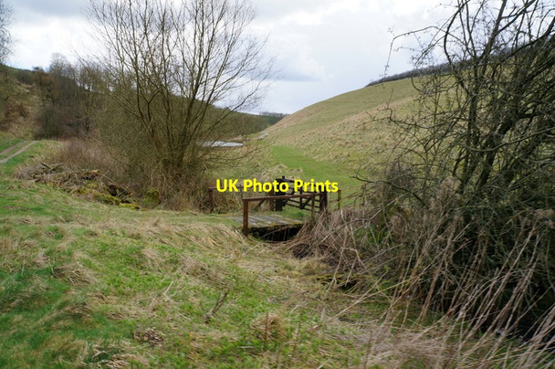 Photo 6"x4" Deep Dale towards Whitekeld Dale Bishop Wilton c2014