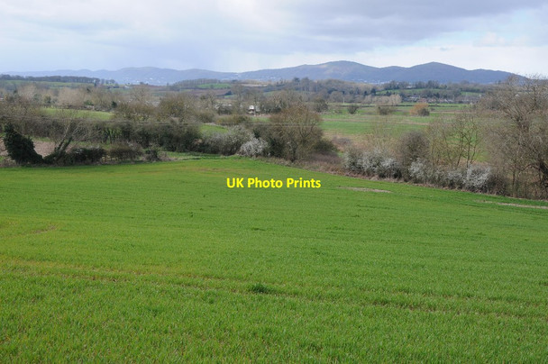 Photo 6"x4" View to the Malvern Hills Kempsey c2014