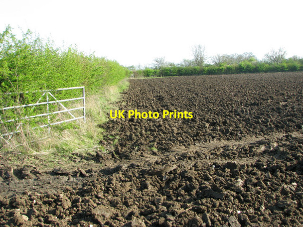 Photo 6"x4" Field beside the A143 road Harleston\/TM2483 c2014