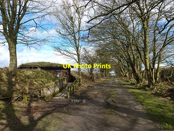 Photo 6"x4" The Avenue, Caerlaverock WWT Reserve Eastpark\/NY0565 c2014